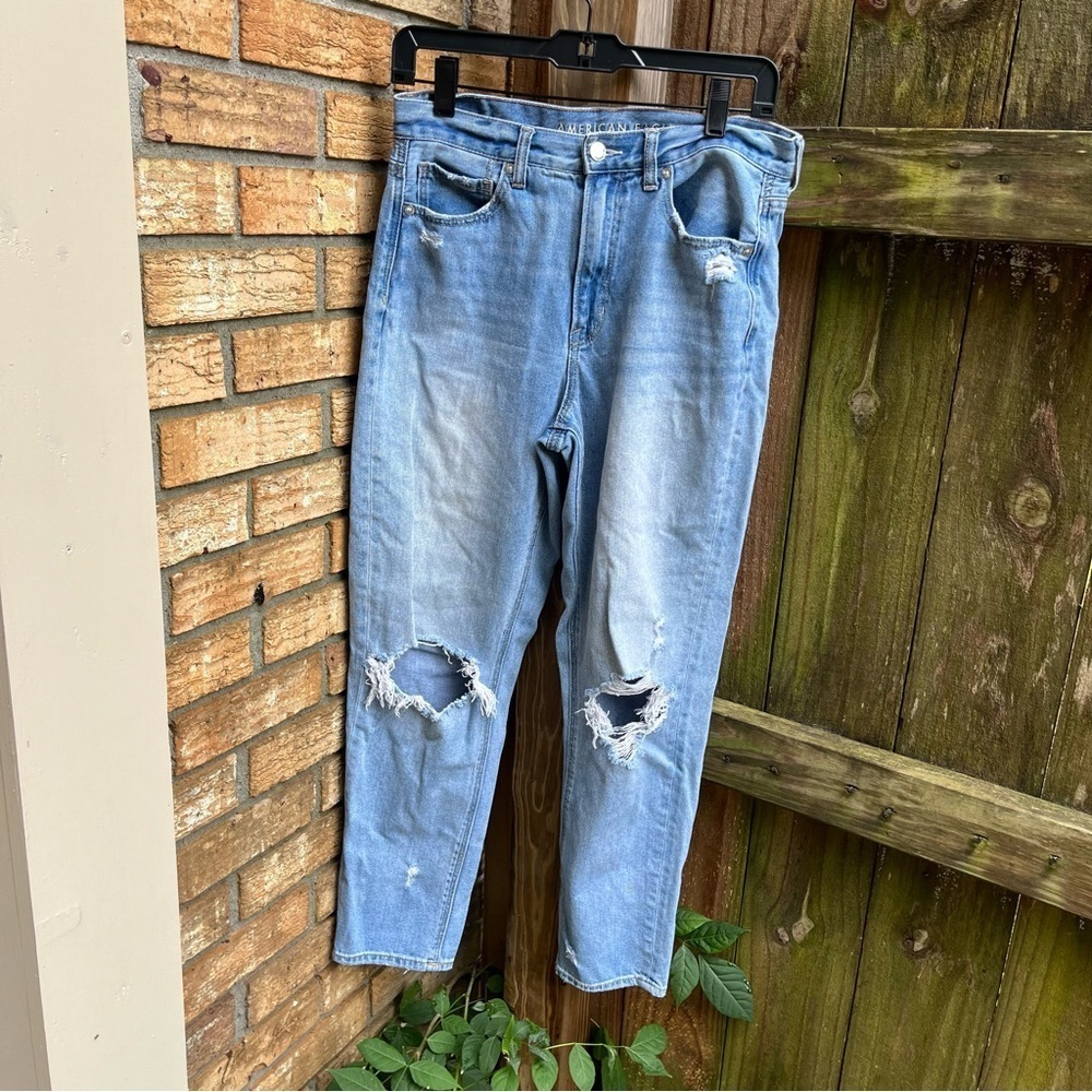 American Eagle Outfitters Light Blue Distressed Cropped Mom Jeans